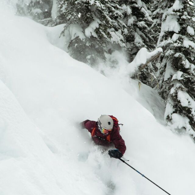 Powder-Paradies oder Gefahrenzone. Erfahre in unserem neuen Beitrag, wie du beim Skifahren im freien Gelände die richtigen Entscheidungen triffst! Den Link findest du in der Bio. 

#powder #freeride #dachsteinkrippenstein #skirent